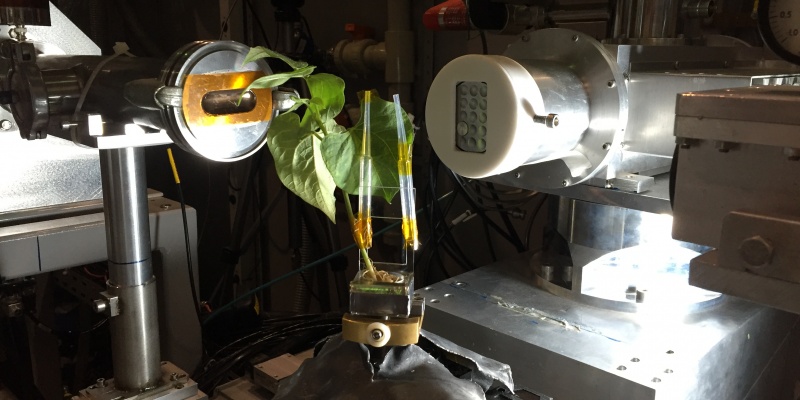 https://atualizacao.fealq.org.br/professor-da-usp-de-piracicaba-lanca-site-para-aproximar-ciencia-e-publico-geral/