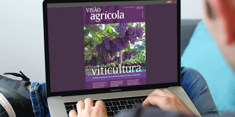 https://atualizacao.fealq.org.br/fealq-apoia-14a-edicao-da-revista-visao-agricola/