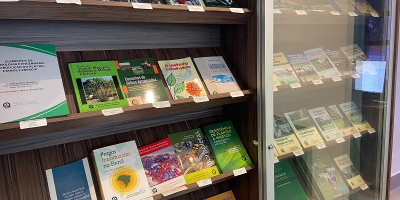 https://atualizacao.fealq.org.br/fealq-parceria-oferece-desconto-em-livros-para-associados-da-sbagro/