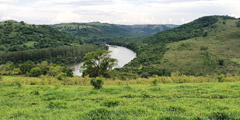 https://atualizacao.fealq.org.br/fazenda-figueira-reforca-atuacao-com-foco-na-sustentabilidade/