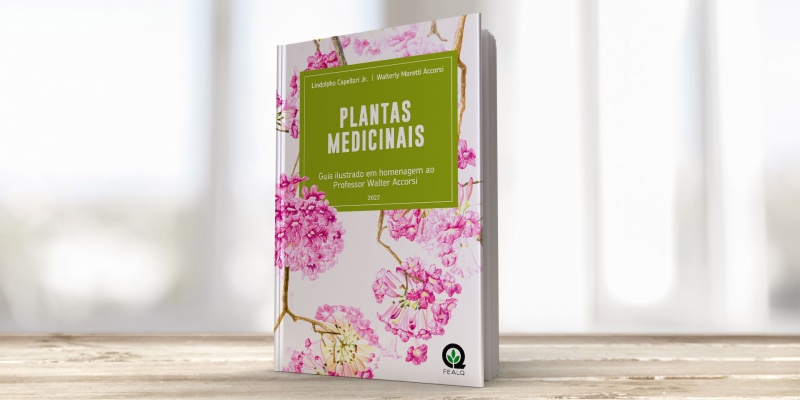 https://atualizacao.fealq.org.br/guia-inedito-apresenta-plantas-estudadas-pelo-professor-walter-accorsi/