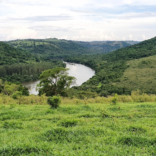 Foco-em-sustentabilidade-Vista-da-mata-ciliar-do-rio-Tibagi-e-áreas-de-reserva